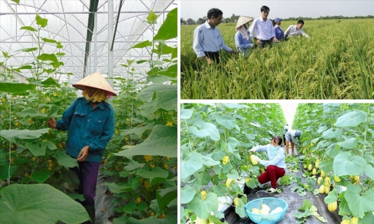 Ngành nông nghiệp Bắc Giang triển khai thực hiện chiến lược xuất khẩu hàng hóa đến năm 2030