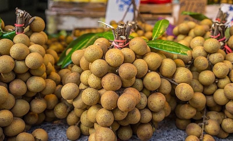 Hưng Yên: Kết nối xuất khẩu nhãn, các sản phẩm chế biến từ nhãn sang thị trường Nhật Bản