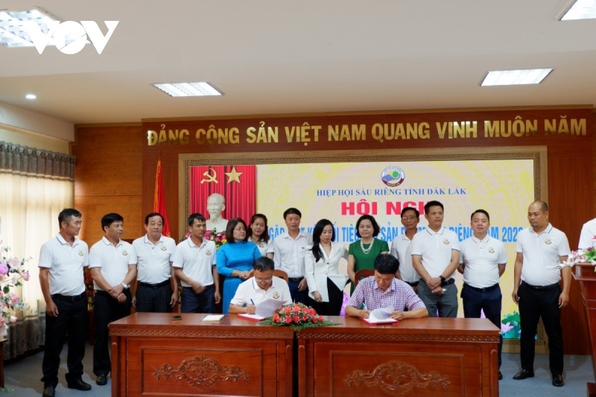 Đắk Lắk thúc đẩy tiêu thụ sản phẩm sầu riêng