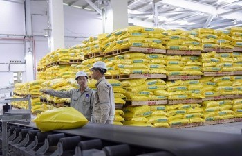 Kim ngạch nhập khẩu phân bón 6 tháng giảm 30,4%