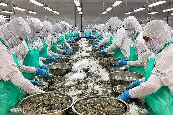 Việt Nam chiếm 9% khối lượng nhập khẩu thủy sản của Mỹ