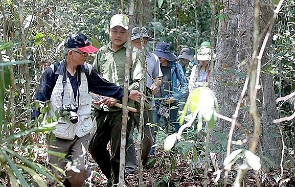 Các nhà khoa học của Viện Dược Liệu (Bộ Y tế) khảo sát cây thuốc nam tại Khu Bảo tồn thiên nhiên - văn hóa Đồng Nai.