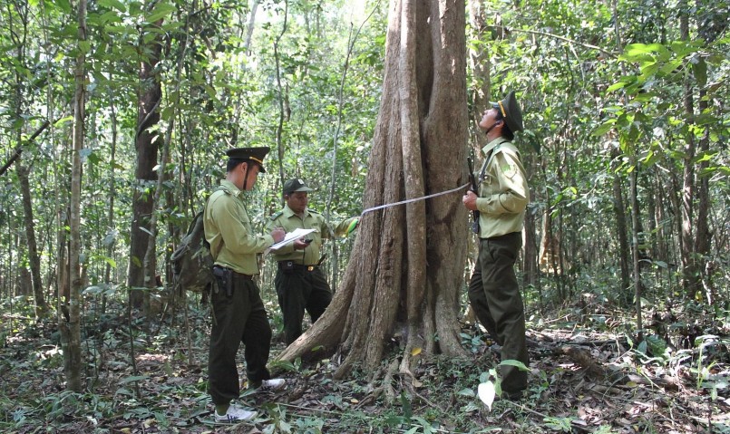 Lực lượng kiểm lâm của Khu bảo tồn thiên nhiên - văn hóa Đồng Nai bảo vệ từng cây gỗ trong rừng.
