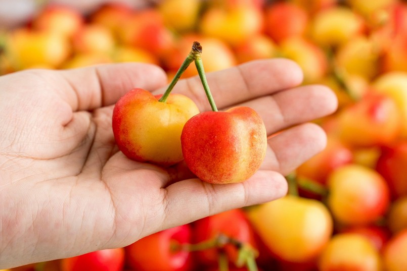 Cherry vàng giá dưới 500.000 đồng một kg 