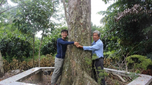 Cây sầu riêng trăm tuổi hiếm hoi của thầy giáo ở Cần Thơ, ba đời giữ gìn như báu vật