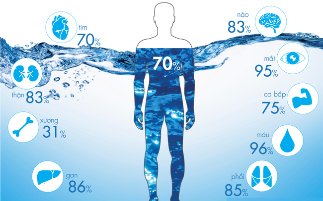 Nước chiếm khoảng 75% cơ thể chúng ta