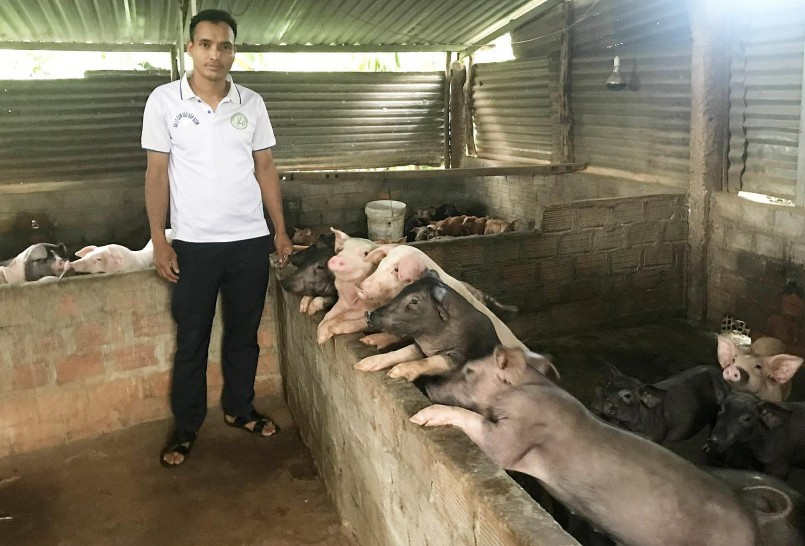 Giá heo hơi hôm nay (19/7), mặt bằng giá heo vẫn duy trì ở mức cao nhất trong vòng hơn 1 năm qua.