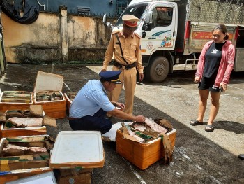 Quảng Ninh: Tiêu hủy gần 500kg thực phẩm động vật không rõ nguồn gốc