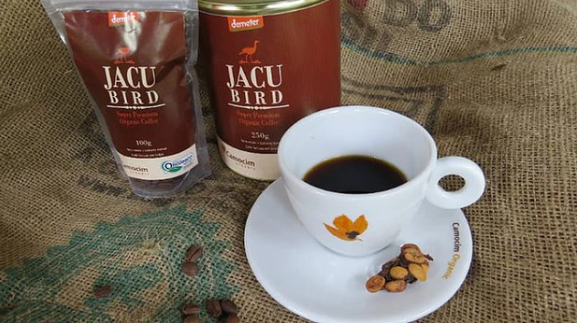 Hiện nay, giá của cà phê từ phân chim Jacu lên tới gần 40 triệu đồng/kg