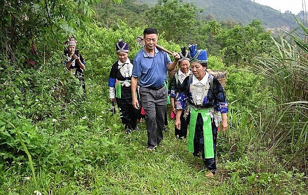 Cựu chiến binh Nguyễn Văn Luân lên rẫy cùng bà con dân bản để tìm hướng phát triển cây gừng.