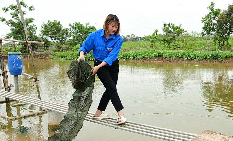 Mô hình nuôi cá chạch sụn thương phẩm của gia đình chị Nguyễn Thị Hồng.
