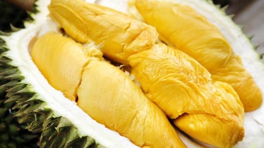 Nhiều người phát cuồng nhưng quả sầu riêng lại bị cấm ăn ở nơi công cộng tại Singapore