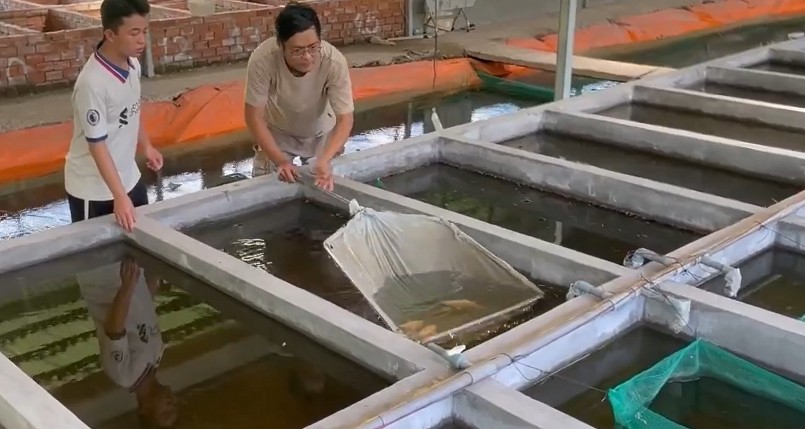 Hiện có nhiều bạn trẻ đến tìm hiểu và học hỏi nghề nuôi cá cảnh từ cơ sở của Nguyễn Thanh Hoàng.