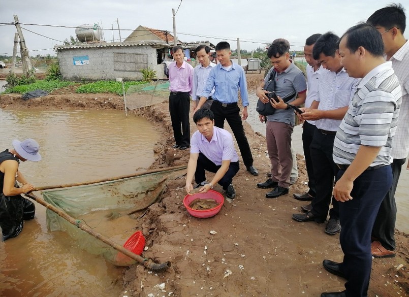 Trung tâm khuyến nông Nam Định kiểm tra mô hình nuôi các bống bớp trên địa bàn huyện Nghĩa Hưng.