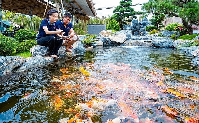 Vợ chồng anh Lê Hữu Thanh đang kinh doanh trại cá Koi Kingdom tại TP Thủ Đức (TP HCM).