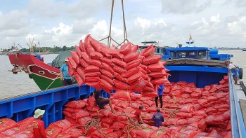 Xuất khẩu gạo mang về 2,4 tỷ USD