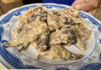 3 người ở Quảng Nam ngộ độc sau khi ăn cá muối ủ chua