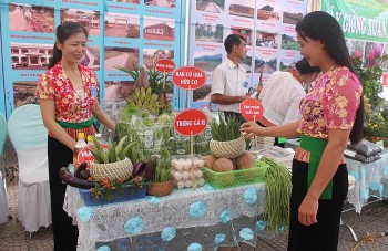 Huyện Lương Sơn (Hòa Bình): Nỗ lực hỗ trợ nông dân xây dựng sản phẩm OCOP