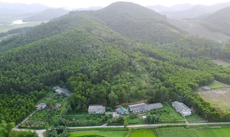 Trang trại tổng hợp rộng 1,5 ha của anh Ngư nằm bên mép đồi keo ở xã Sơn Giang.
