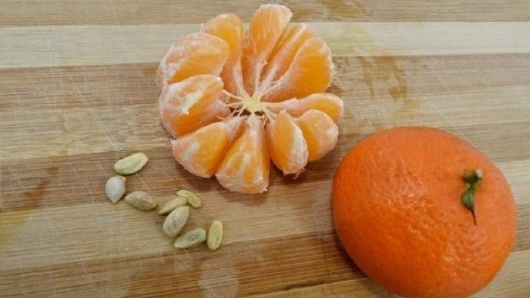 Ăn cam đừng vứt hạt đi, chúng là “báu vật” mang lại nhiều lợi ích cho sức khoẻ