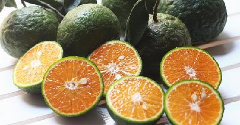 Hạt cam mang lại nhiều lợi ích cho sức khoẻ
