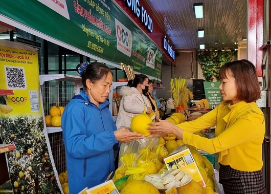 Huyện Ứng Hòa đẩy mạnh triển khai Chương trình OCOP năm 2023