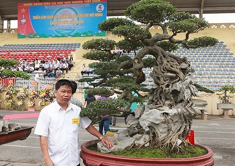 Trong giới chơi cây ở Việt Nam, không ai là không biết đến ông Phan Văn Toàn - Toàn “đô la”.