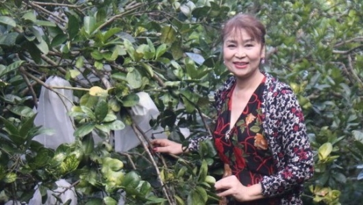 Lên đồi lập trại nuôi heo và trồng bưởi, nữ nông dân xứ Nghệ thu 25 tỷ đồng mỗi năm