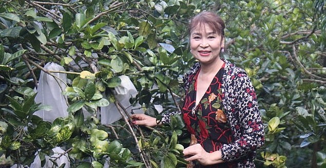 Chị Nguyễn Kim Tiến với trang trại trồng bưởi và nuôi heo cho doanh thu hàng chục tỷ đồng mỗi năm.
