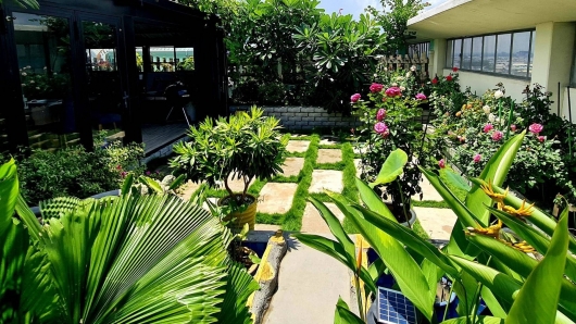 Mua nhà chung cư còn chi nửa tỷ làm vườn sân thượng để tận hưởng không gian xanh đắt đỏ
