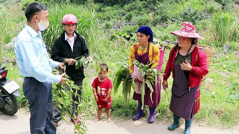 Chính quyền địa phương tuyên truyền tới người dân về tác hại của quả Hồng Châu