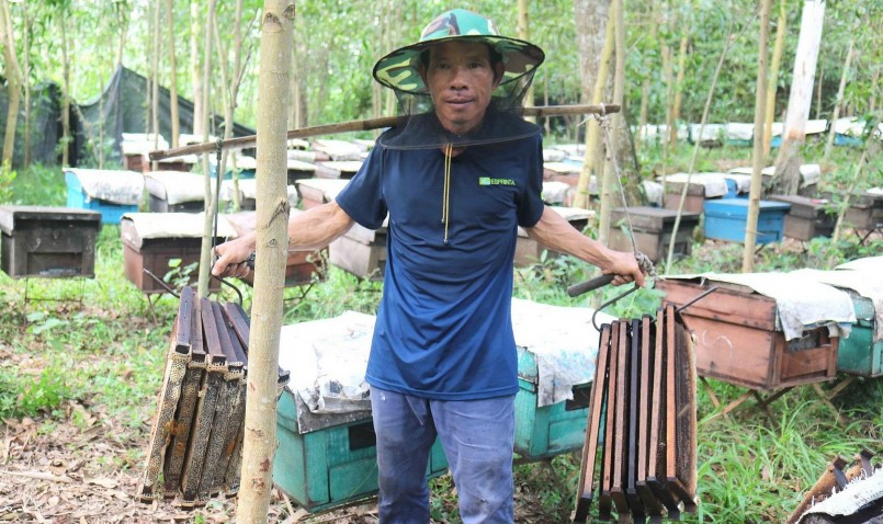 Đang vào cao điểm thu hoạch mật ong ở Nghệ An, do giá mật ong giảm mạnh nên người nuôi kém vui. 