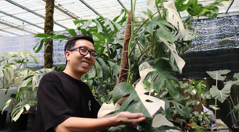 Sau 2 năm sư tầm, anh Trần Trung đã sở hữu 10 nghìn cây kiểng lá.