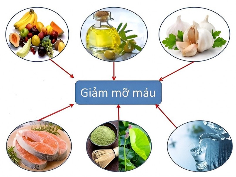 Các loại thực phẩm người bệnh máu nhiễm mỡ không nên ăn