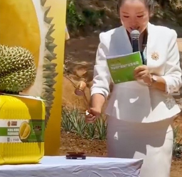 Trung Quốc tổ chức đầu giá trái sầu riêng khủng được trồng ở đảo Hải Nam.