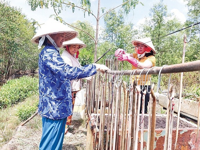 Chị Võ Hồng Đào (bên phải) lựa chọn làm khô cá lạc một nắng để phát triển kinh tế gia đình