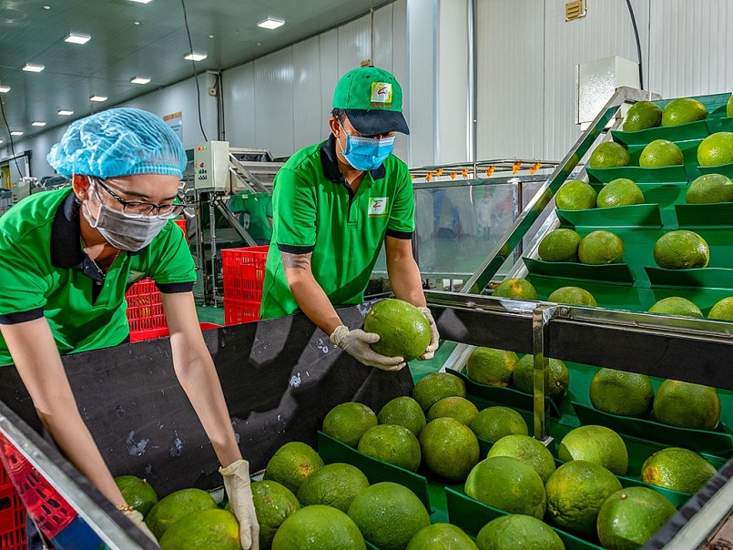 Trung Quốc vẫn là thị trường chính nhập khẩu rau quả Việt Nam