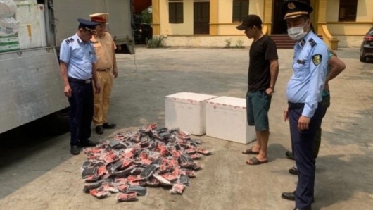 Nghệ An: Xử phạt 01 cá nhân vận chuyển 200kg thịt lợn bốc mùi