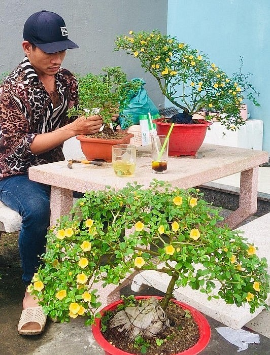 Anh Trần Minh Hiếu chăm chỉ tạo dáng cây bonsai dại để có thêm nguồn thu nhập.