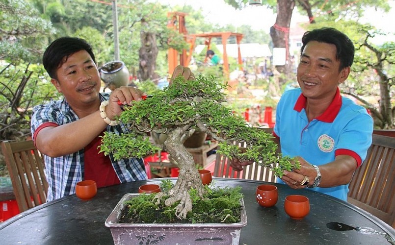 Người chơi cây cảnh còn tổ chức đấu giá cây bonsai để giúp đỡ đồng bào bị thiên tai, bệnh tật.