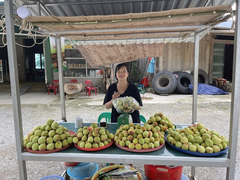 Với lợi thế địa lý,  đào Ngân Sơn được tiêu thụ tốt.