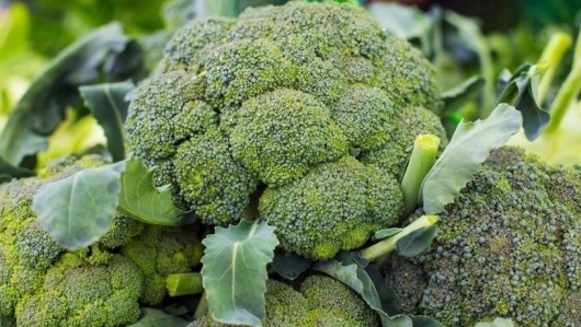 7 công dụng tuyệt vời của bông cải xanh đối với sức khoẻ