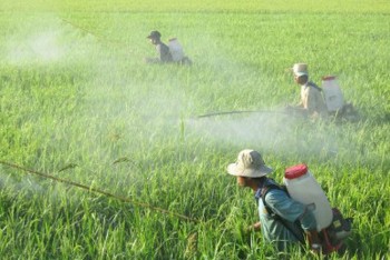 Danh mục thuốc bảo vệ thực vật được phép và cấm sử dụng tại Việt Nam