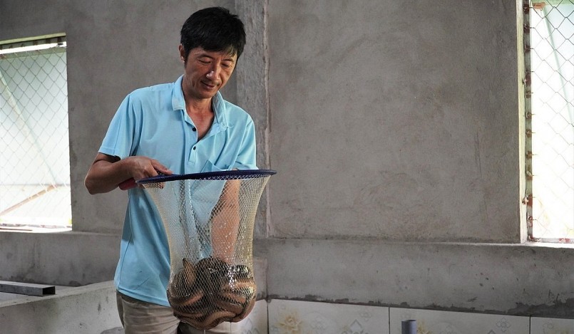 Sau 1 năm chăm sóc, mô hình nuôi lươn không bùn của ông Hà đạt khoảng 5 tấn.
