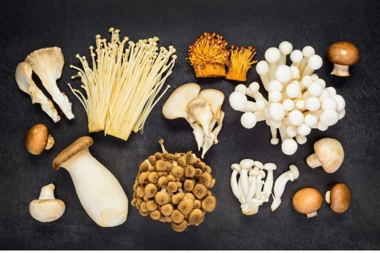 Các loại nấm trắng chứa nhiều protein 