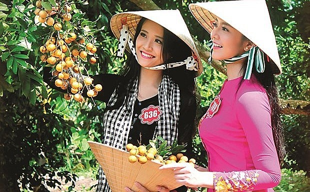 Thanh nhãn giờ là trái cây đặc sản của tỉnh Bạc Liêu.