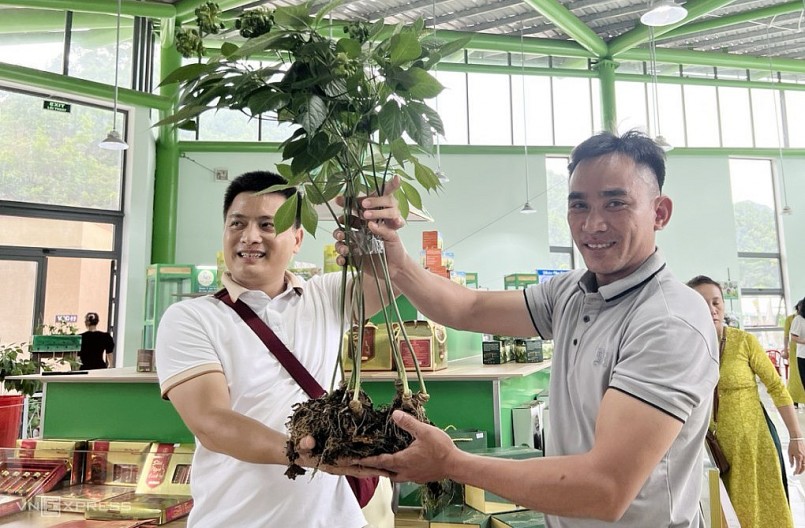Anh Thắng (bên phải) giao dịch thành công cây sâm với khách hàng đến từ Hà Nội