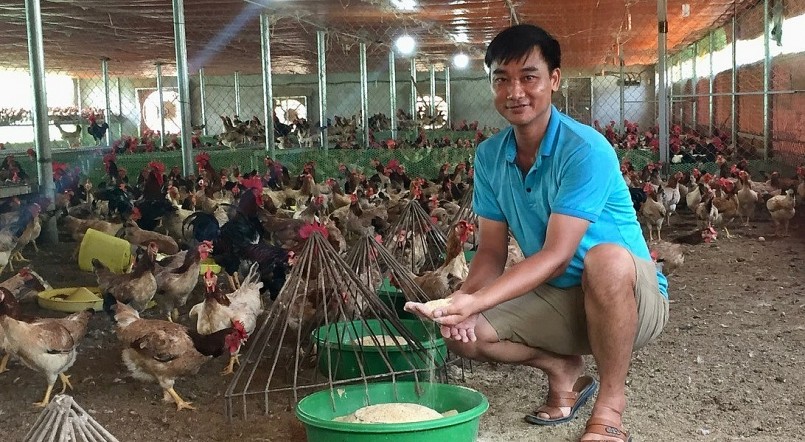 Mô hình nuôi gà sinh học của anh Ngô Trọng Hiển đạt doanh thu trên 15 tỷ mỗi năm, lợi nhuận khoảng 4 tỷ đồng.
