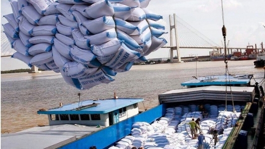 Giá gạo xuất khẩu của Việt Nam cao nhất trong vòng 15 năm