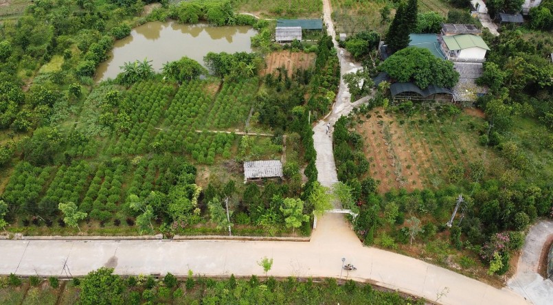 Nhiều địa phương ở tỉnh Hà Giang người dân đã chuyển đổi sang trồng cây cảnh và đem lại hiệu quả cao. 